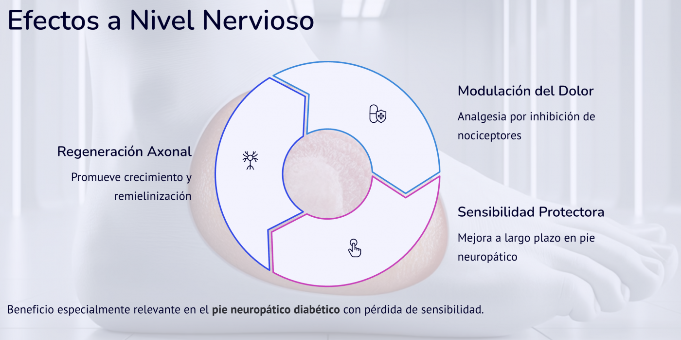 pie diabetico Fotobiomodulacion Laser